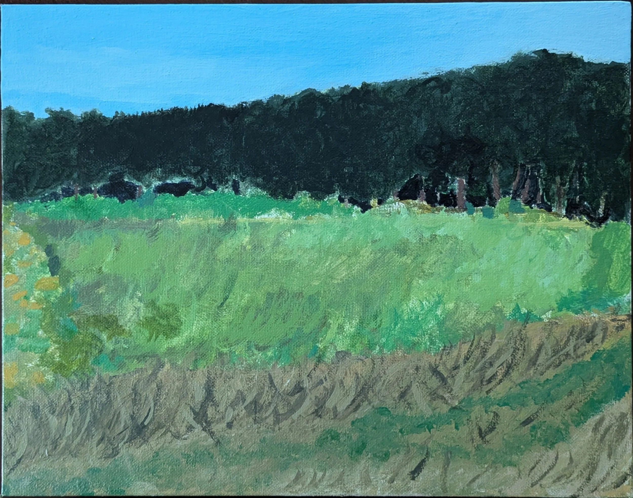 Terrell Robinson, "Untitled," Nandua Middle School