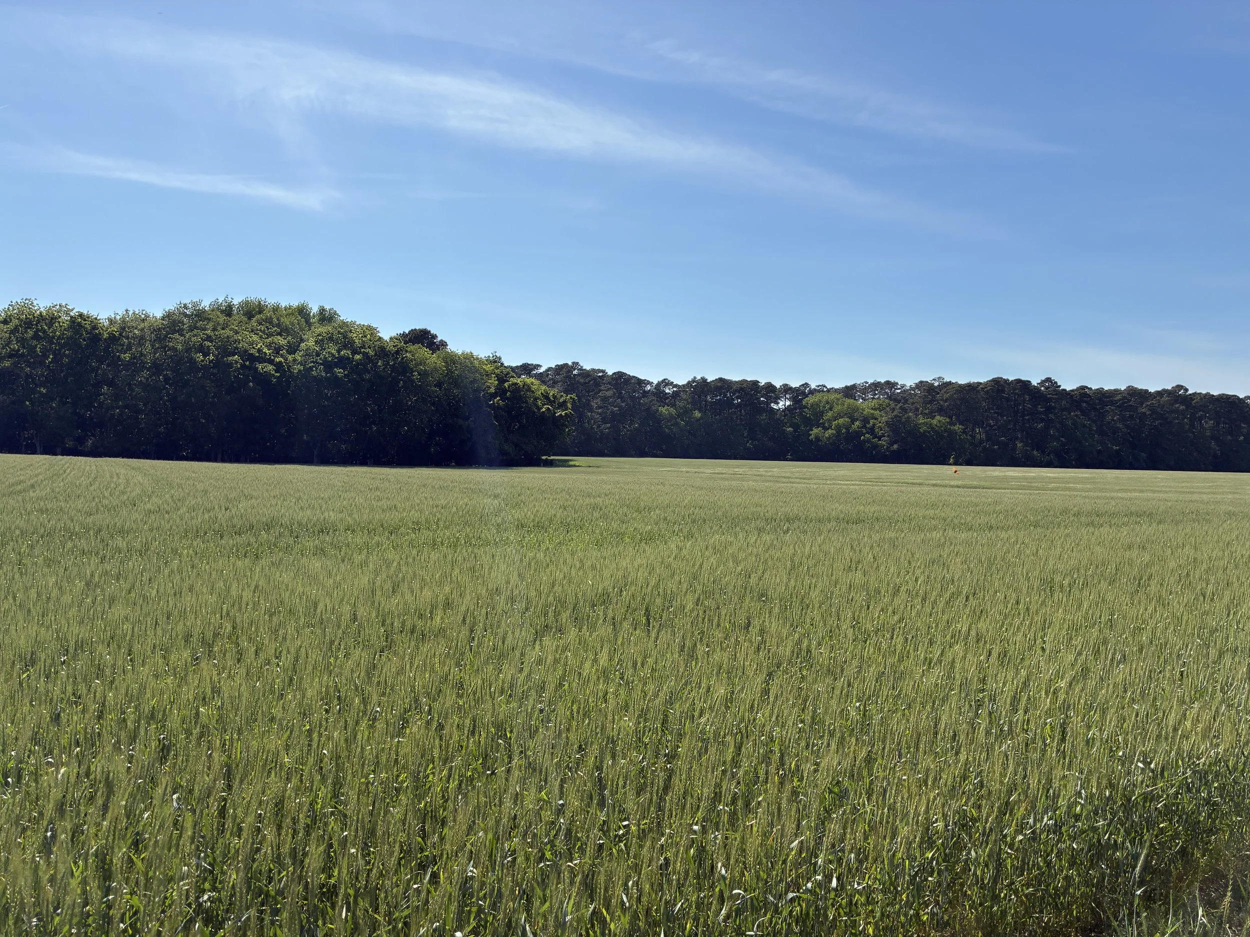 Partnering with Your Farmer to Steward the Land