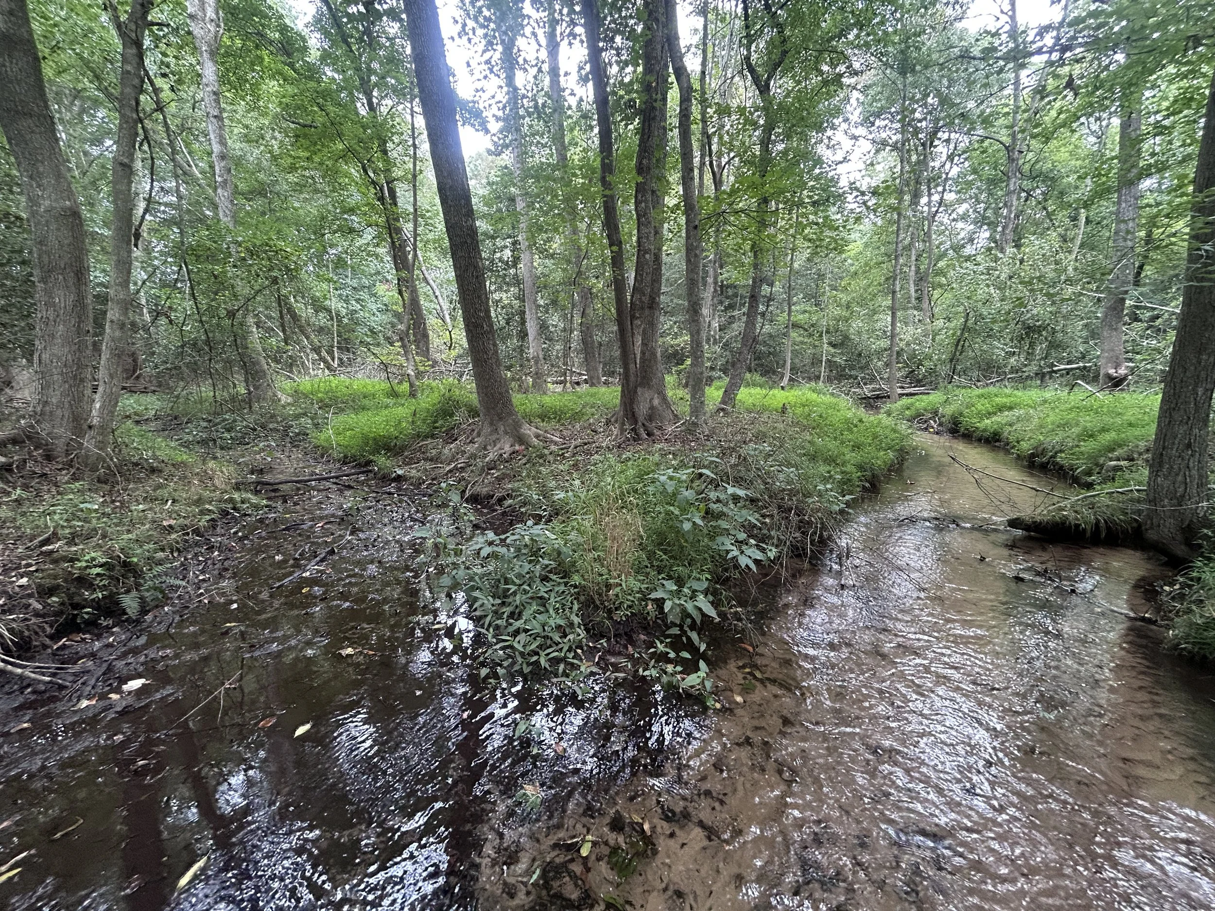 New Stewardship Initiatives Aim to Connect Landowners with the Land They Love