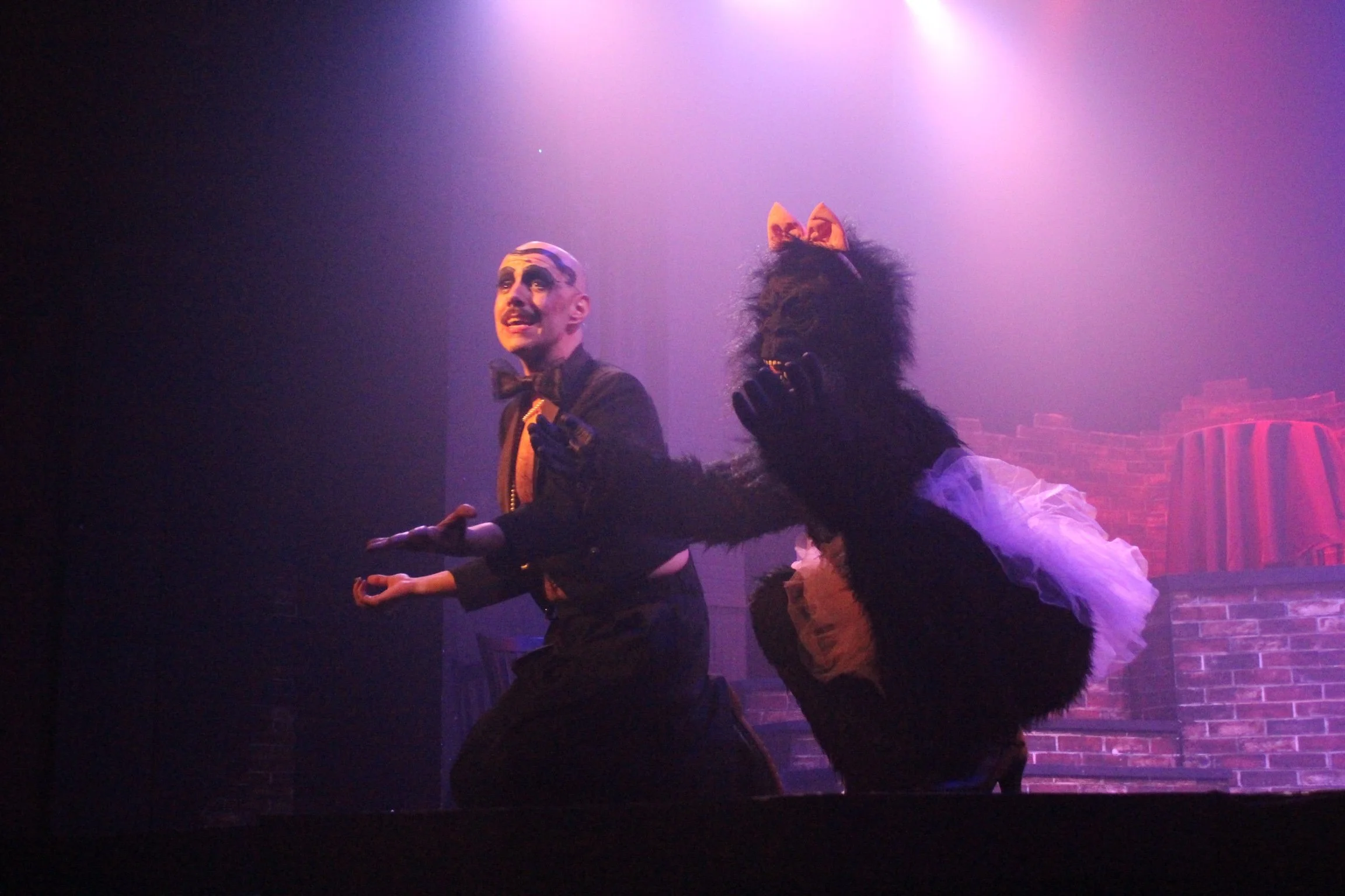 Cabaret Gorilla.jpeg