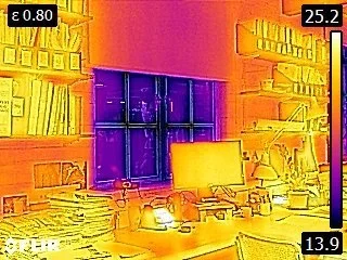 FLIR0555.webp