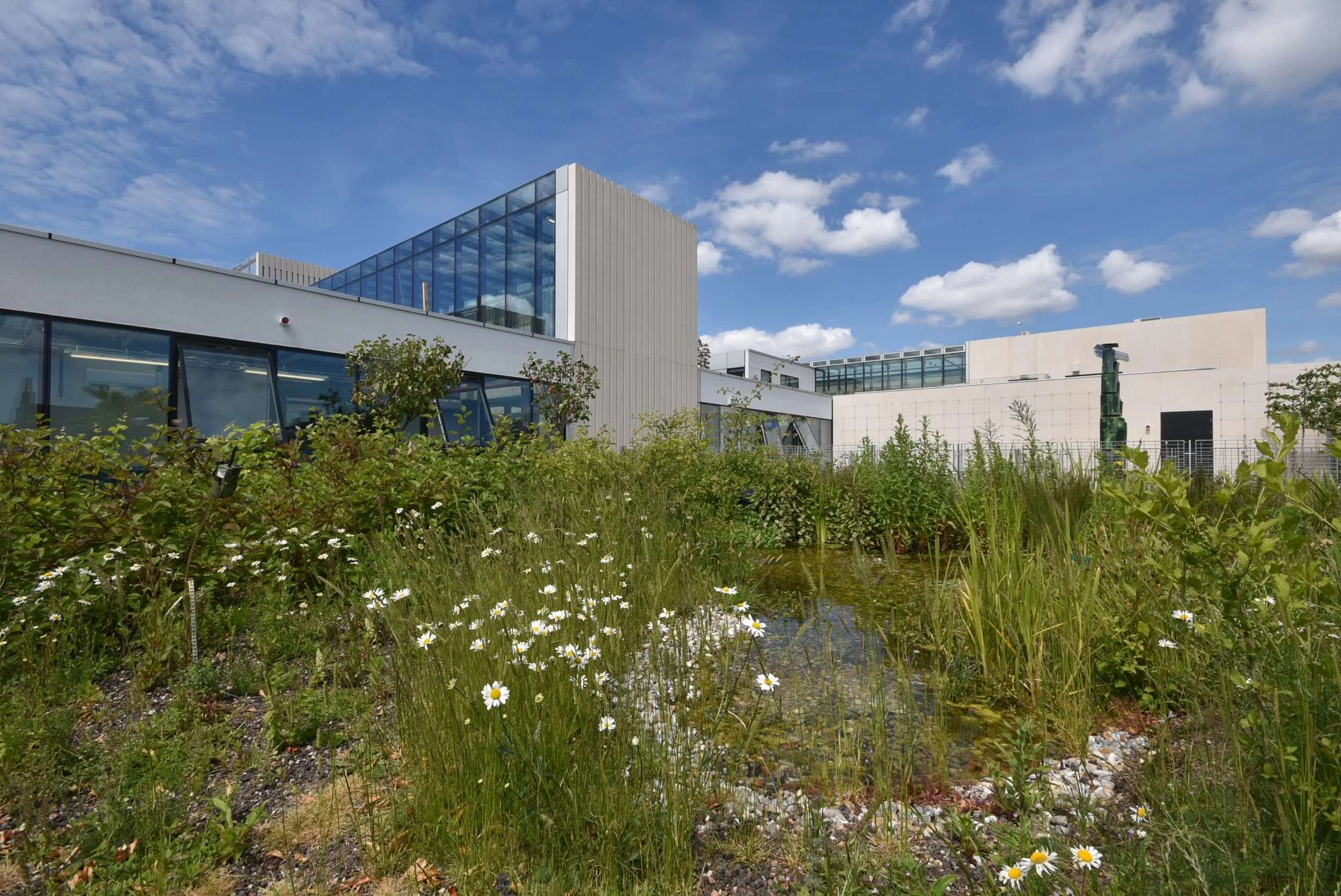  Planted terraces and research gardens with soil depths of up to 600mm form the largest multi-functional green roof in Europe at  the University of Greenwich’s Stockwell Street building . These provide outdoor studios and living laboratories (includi