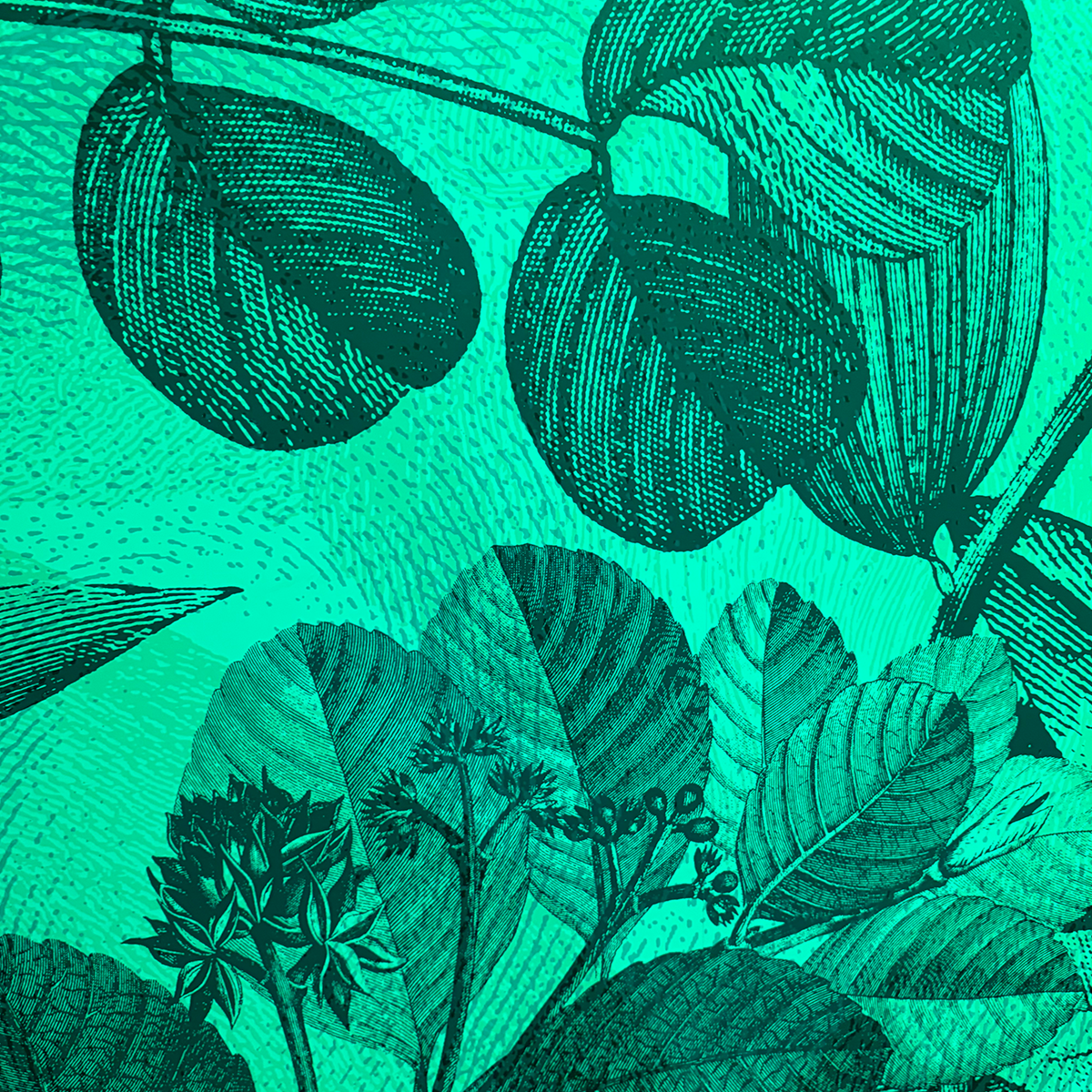 green_pattern.png