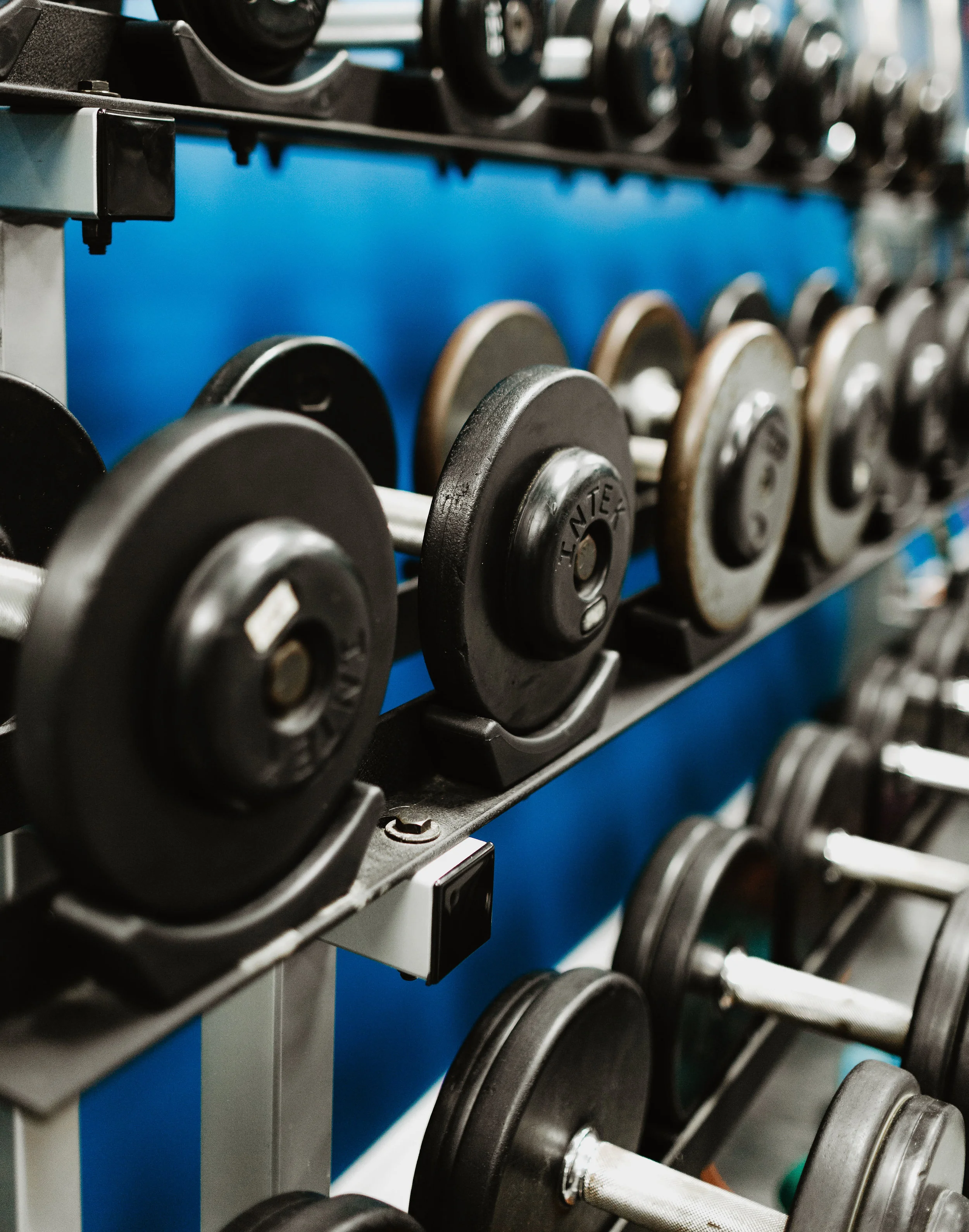 weightrack.jpg