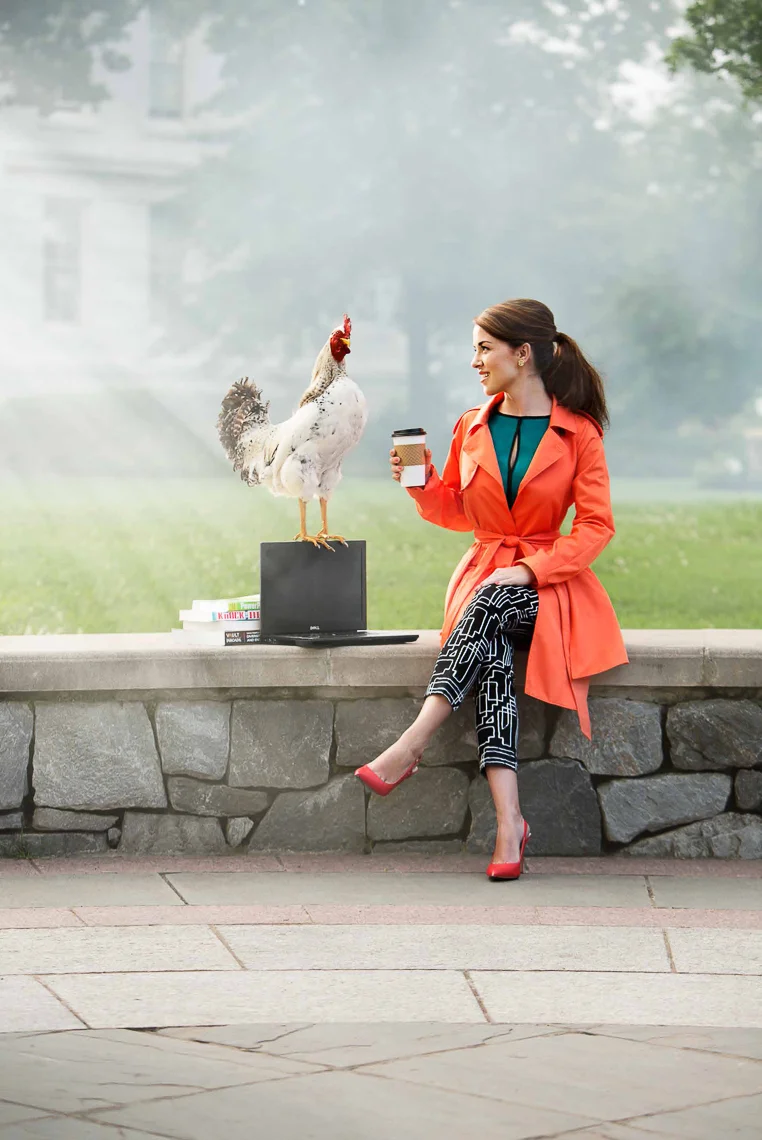 AmericanUniversity_Chicken_vir.jpg