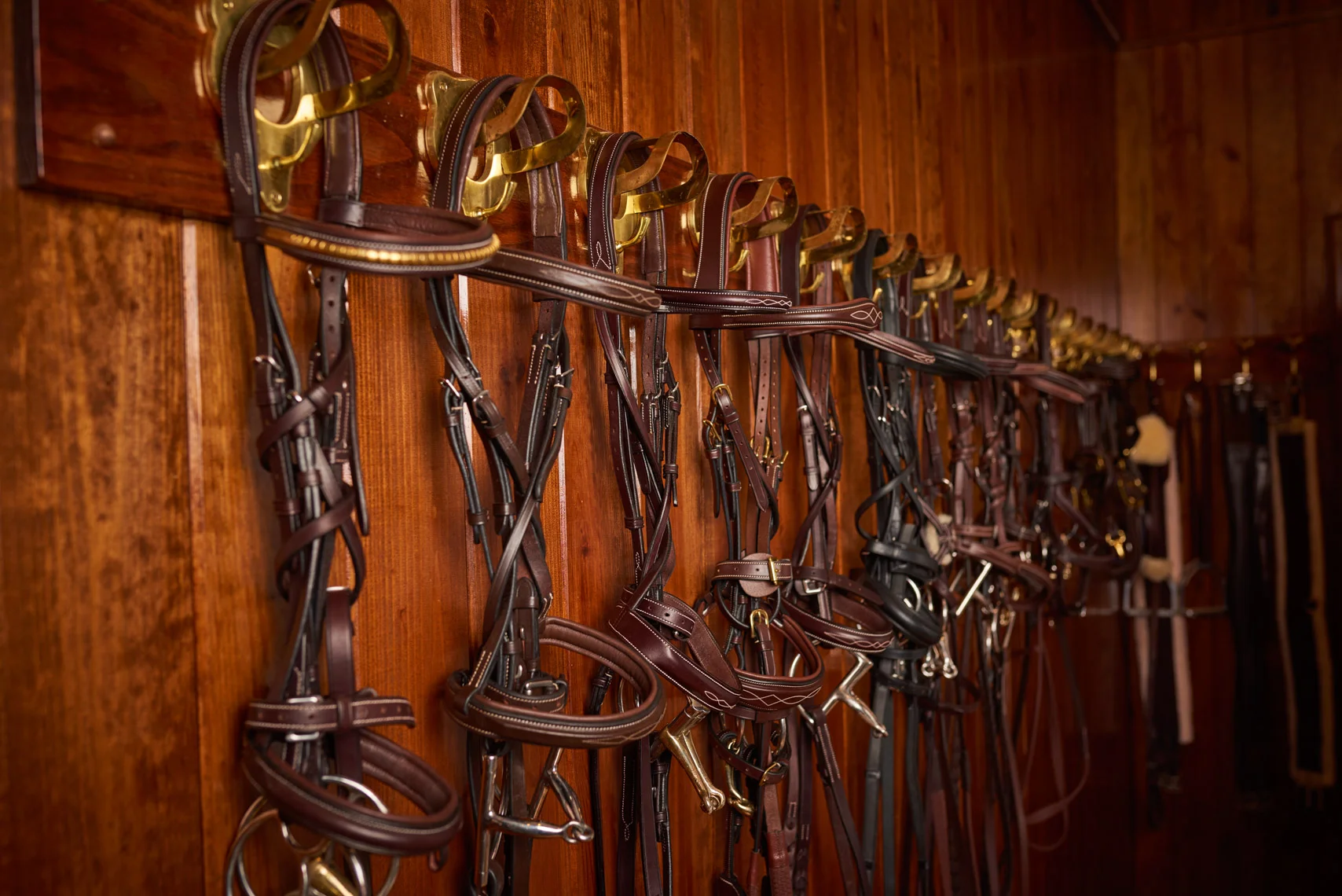 Dover.Saddlery.0819_V1 copy.jpg