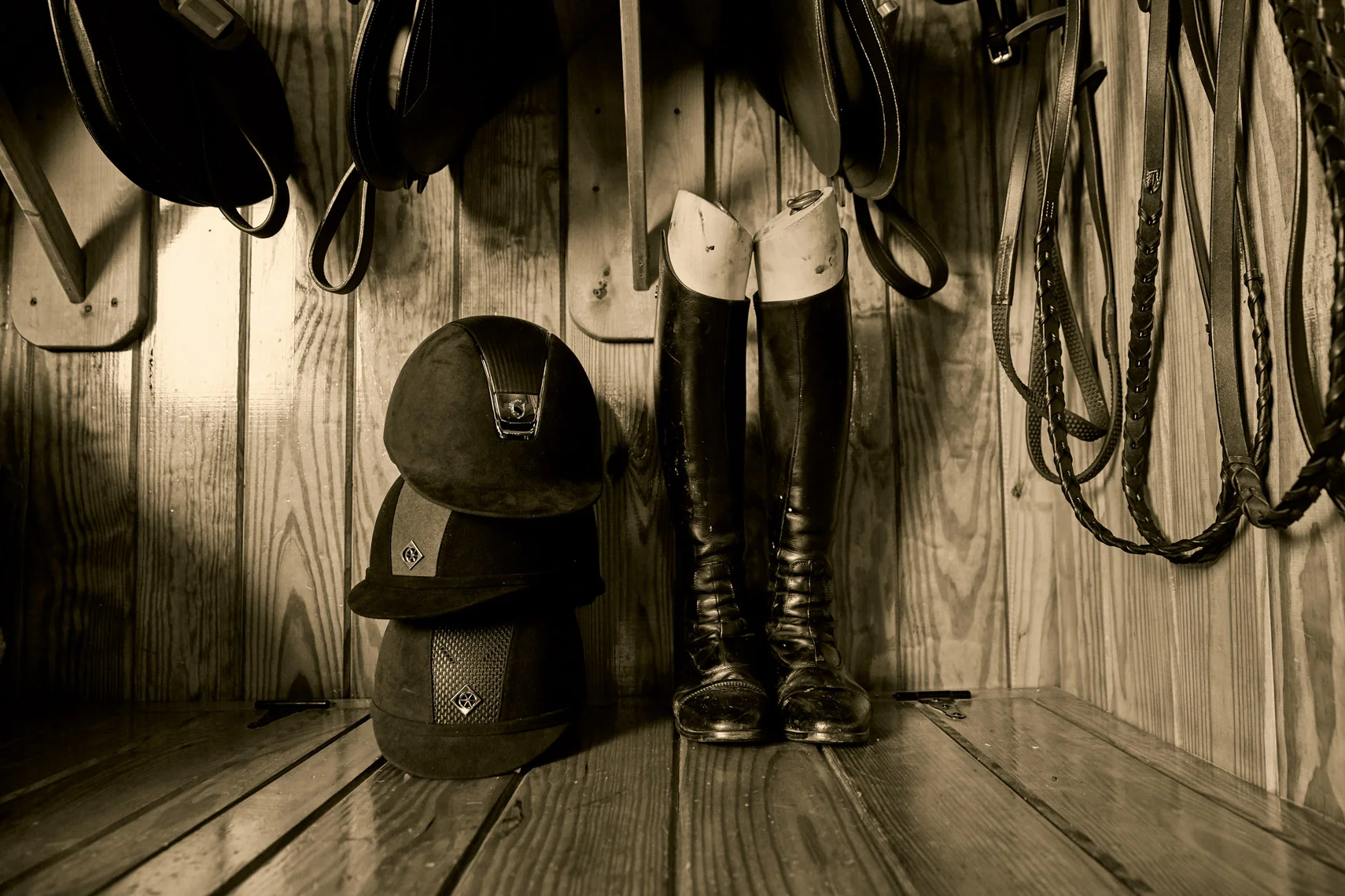 Dover.Saddlery.1637_V2 copy.jpg