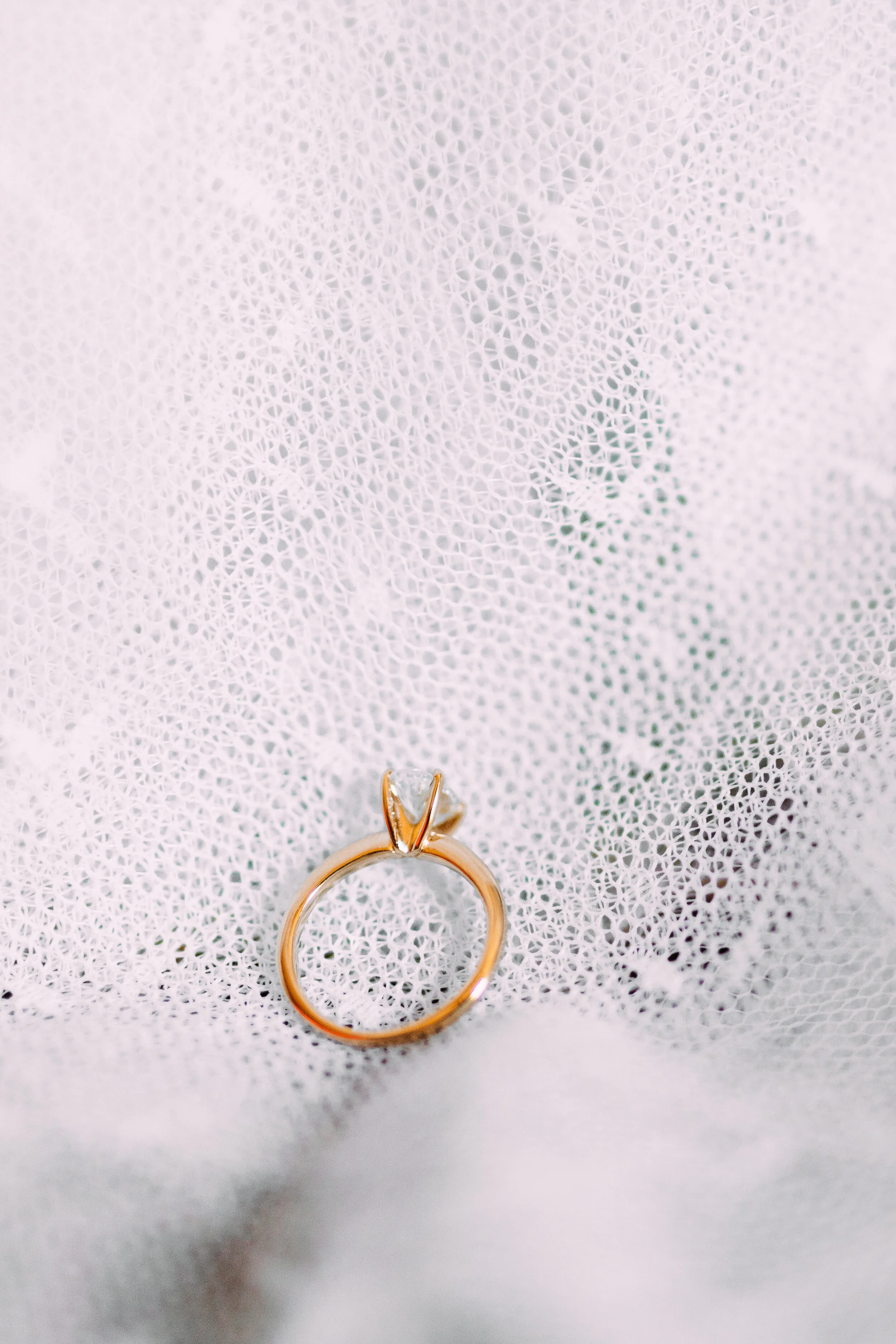 Denver_Museum_Of_Nature_and_Science_Wedding_Photographer_Colorado_Museum_Wedding-1.jpg