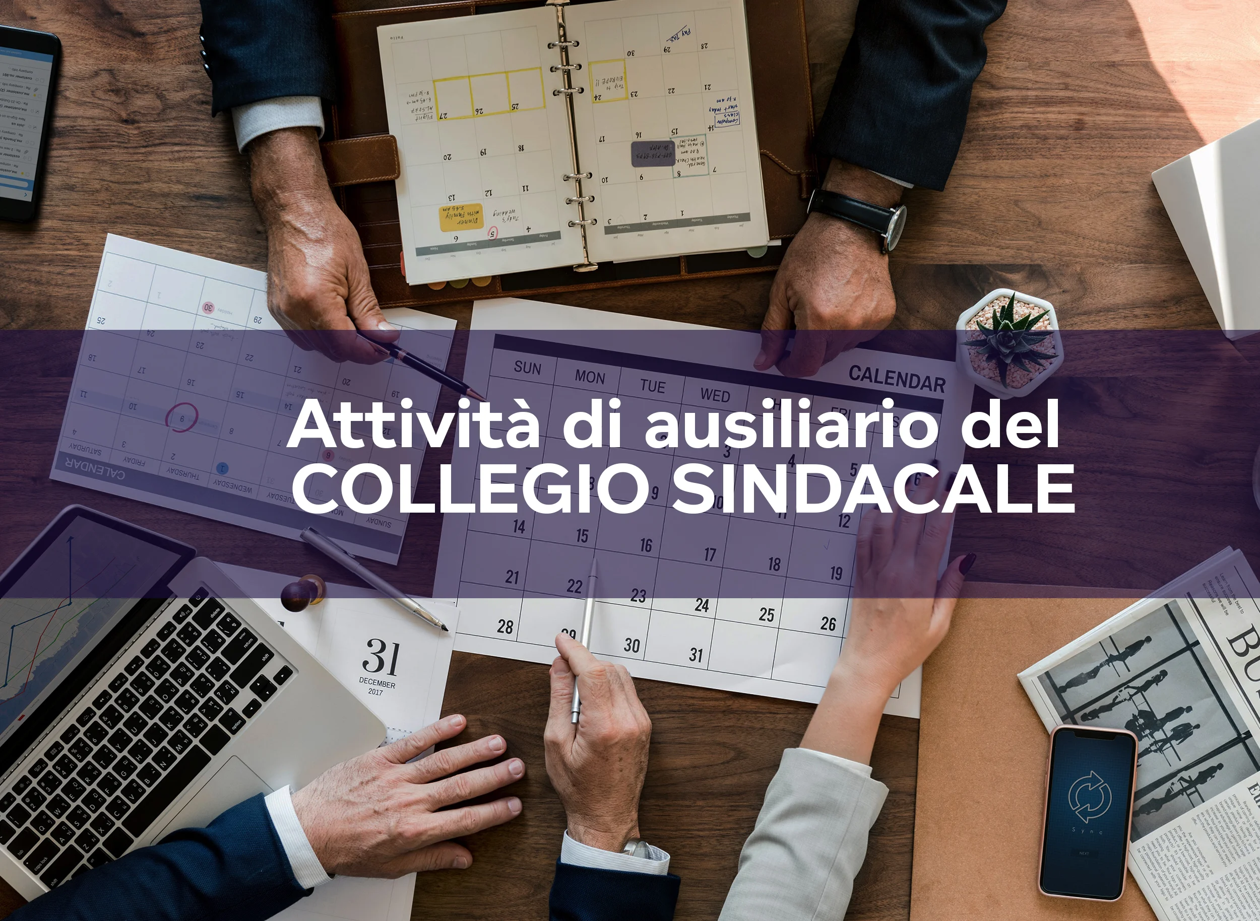 Attività di ausiliario del Collegio Sindacale