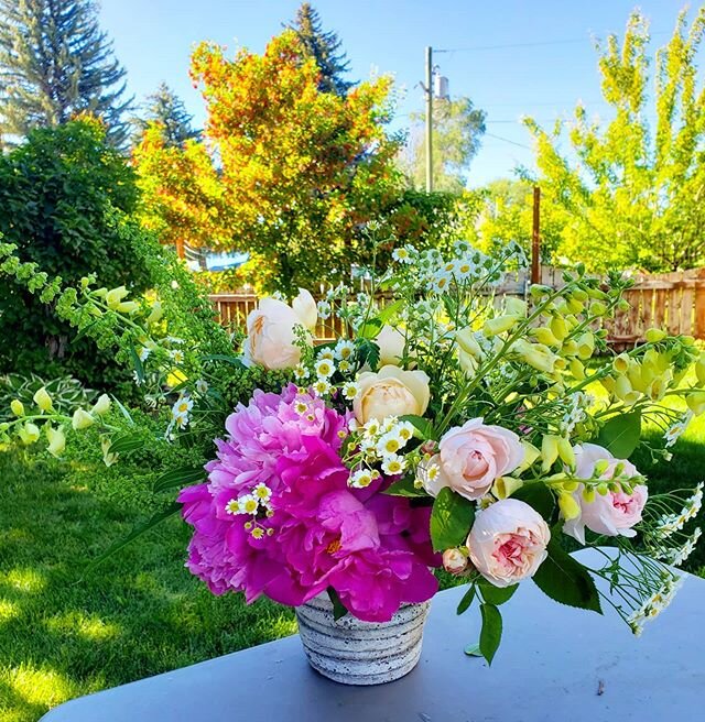 Just another Tuesday morning at the @fivepennyfloral studio and gardens. 
#fivepenny #fivepennyfloral #love #garden #gardenroses #utahflorist #utah #utahweddingflorist #utahweddings #florist #floral #floraldesigner #weddings #weddingflorist #wedding