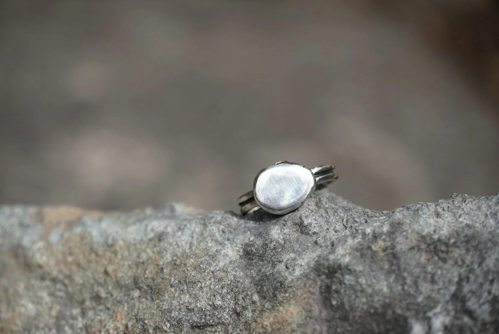 DSC05700_silver.jpg