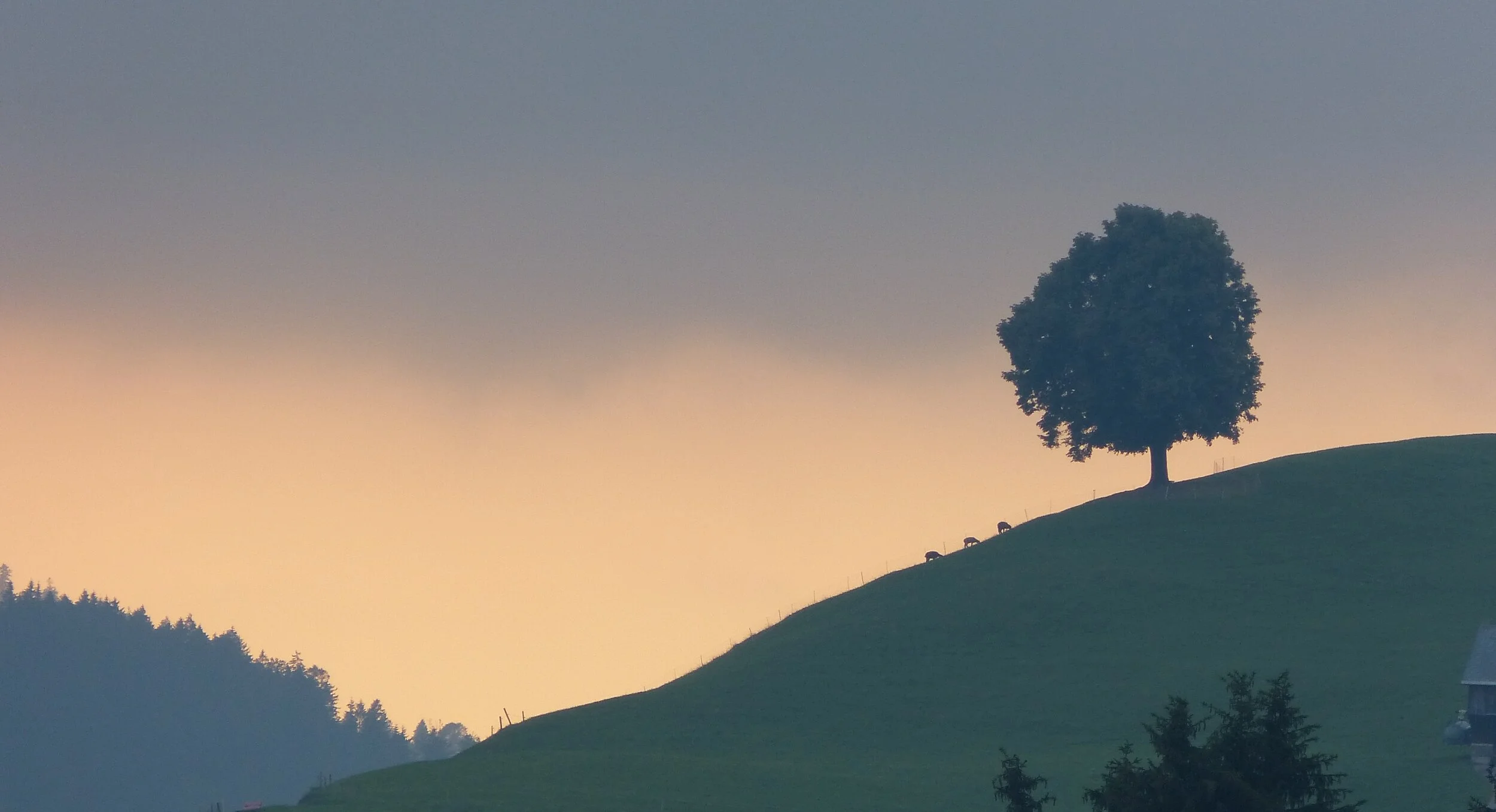 Abendstimmung_1.JPG