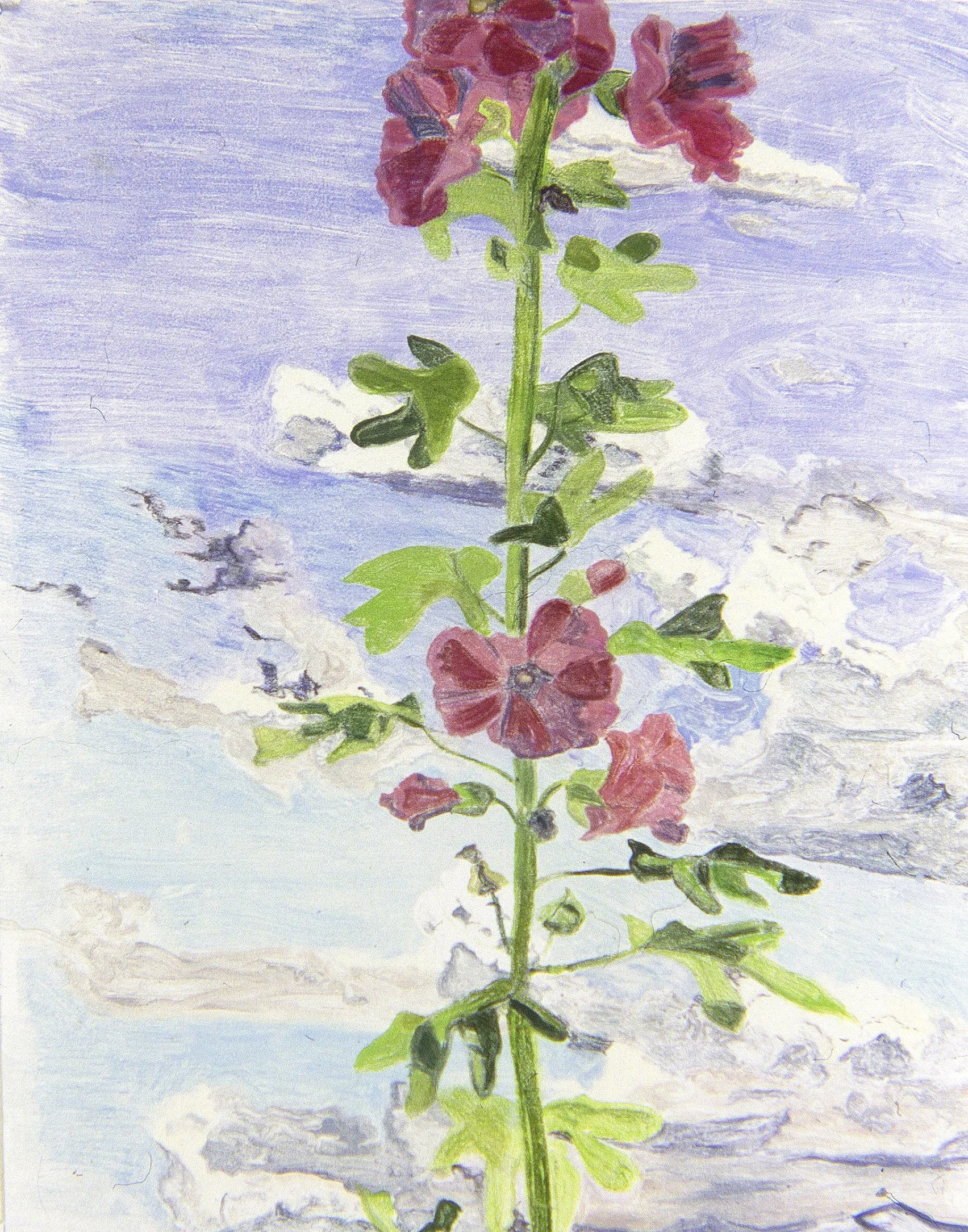 Nancy's Hollyhocks