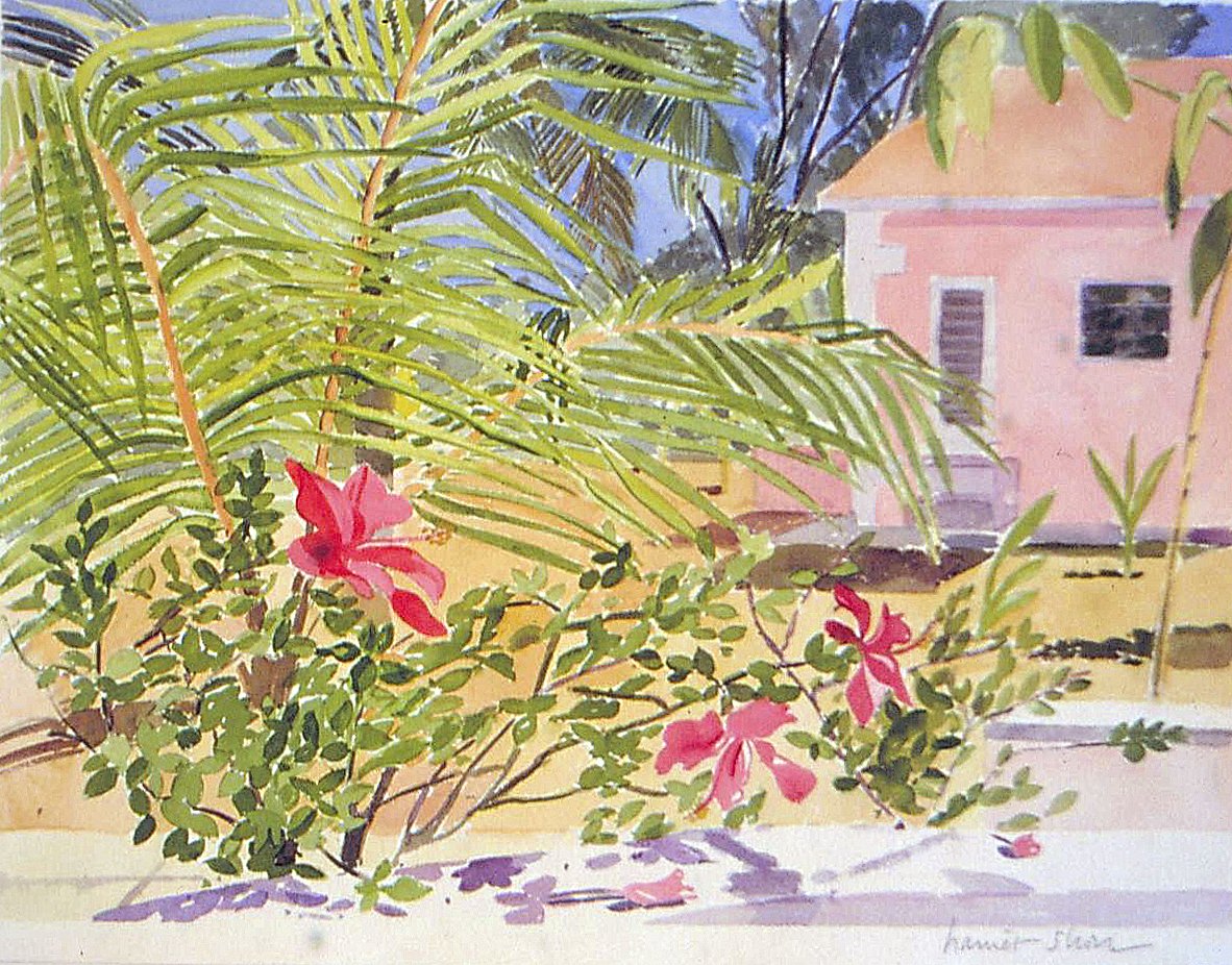 582_Pink-House-With-Palms.jpg