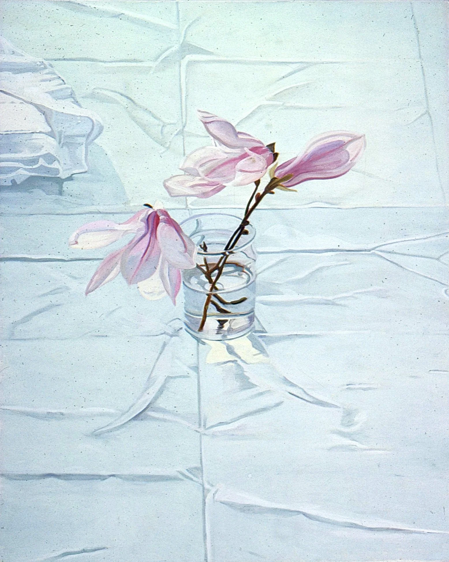 Magnolia
