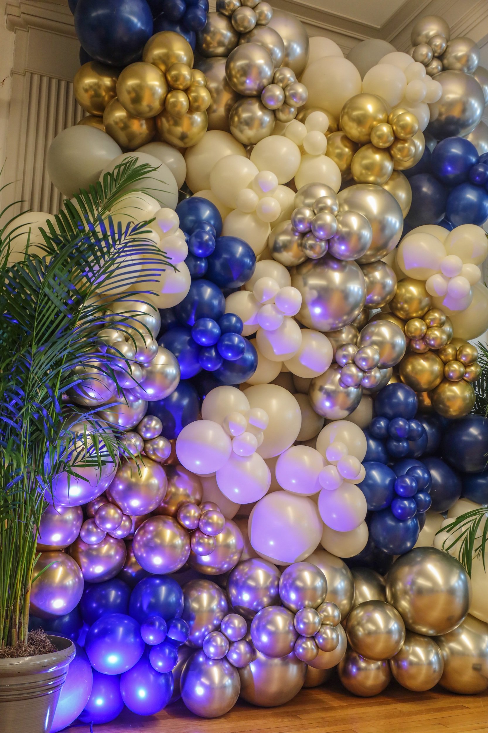 2BC381A9-B1C1-454C-B1AE-2A227A8398A9.jpeg