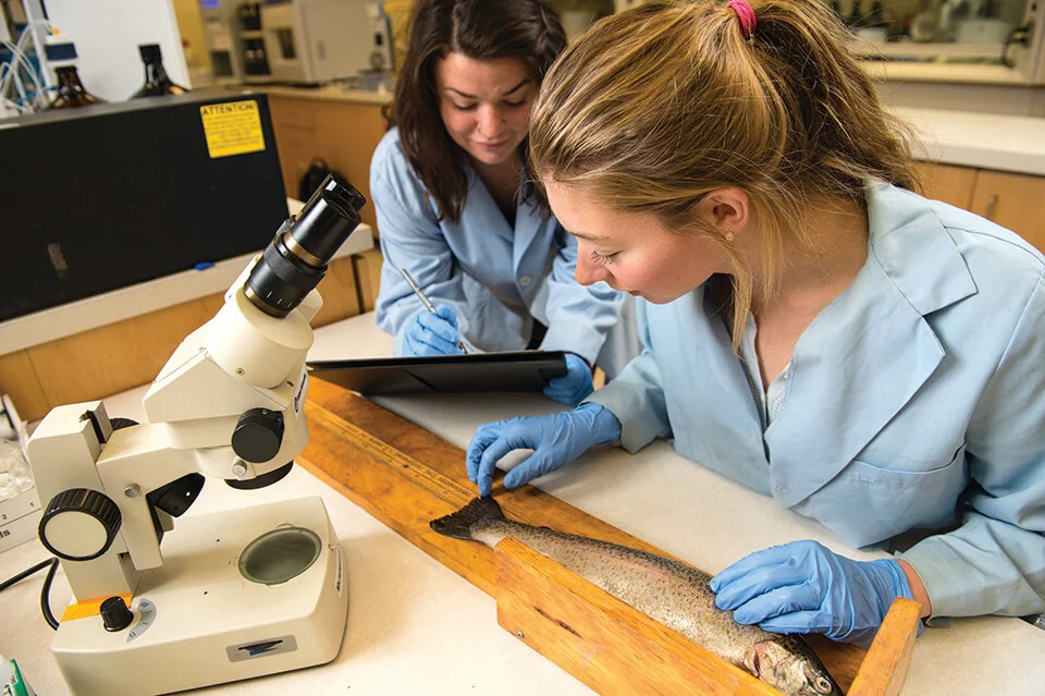 Canadian Rivers Institute