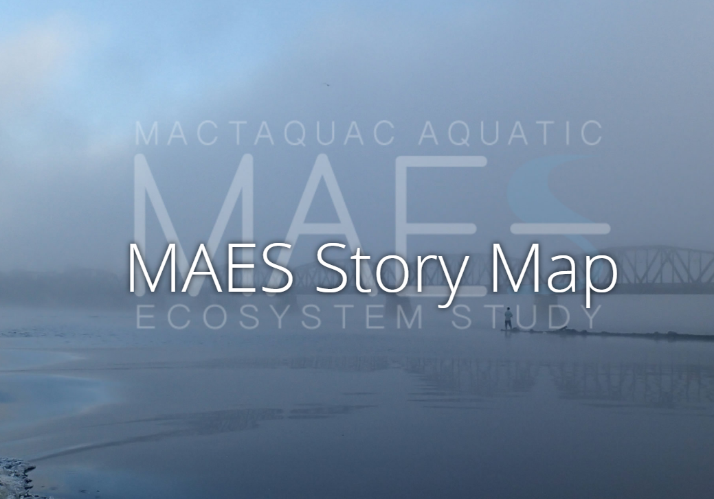 DATA &amp; MAPS: MAES Story Map Released