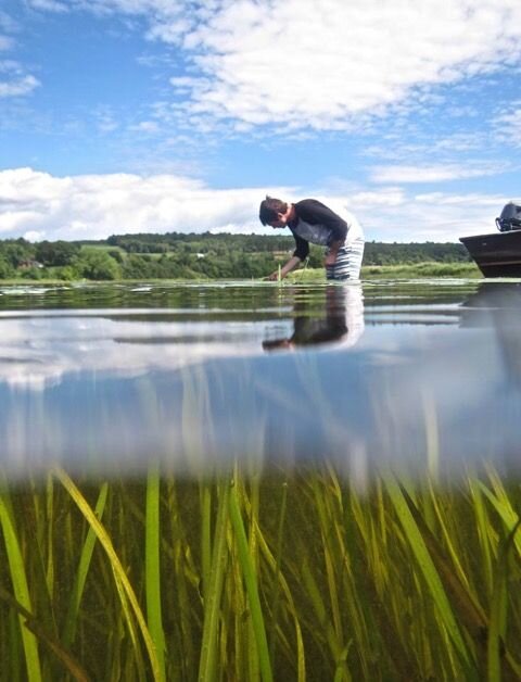 ARTICLE: Advancing the Science on Dam Renewal and Removal