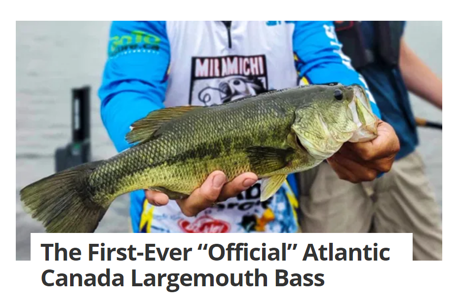 ARTICLE: The First-Ever “Official” Atlantic Canada Largemouth Bass