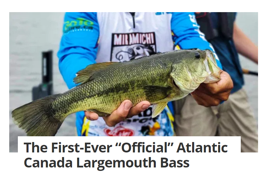 Mactaquac Aquatic Ecosystem Study — Canadian Rivers Institute