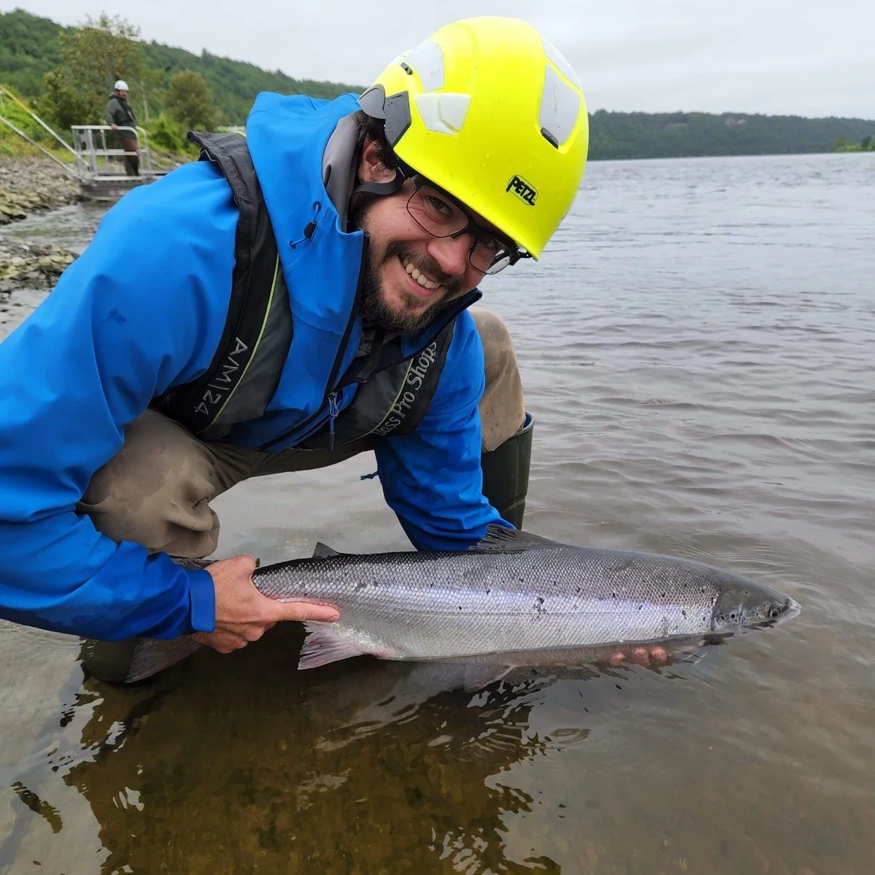 Ryan Hill (Bird, 2024)