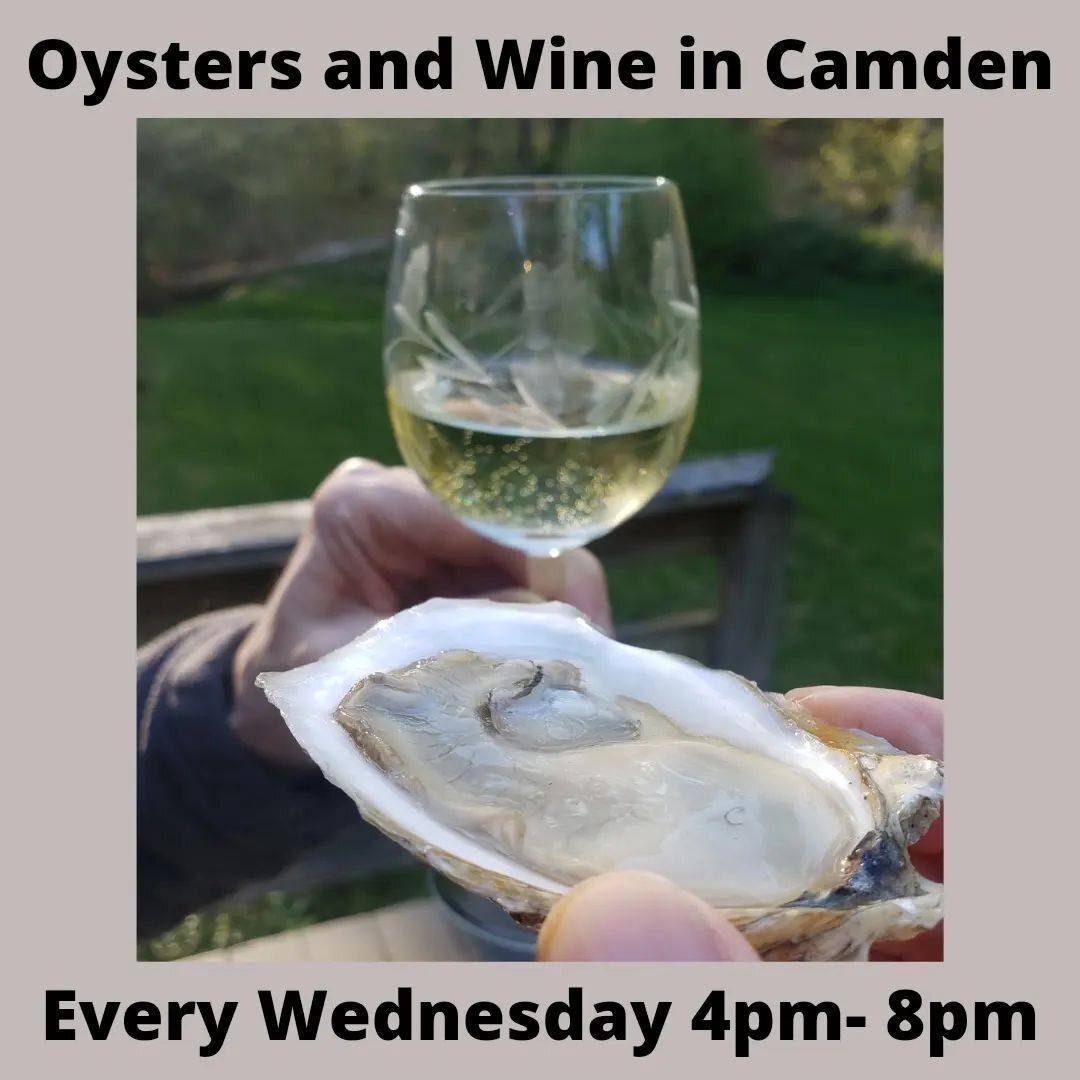 Camden friends! Every Wednesday 4pm - 8pm we are shucking the freshest oysters possible @oysterriverwinegrowers 
-
From the farm to your plate, these briny beauties pair excellently with @oysterriverwinegrowers incredible selection of thoughtfully cr
