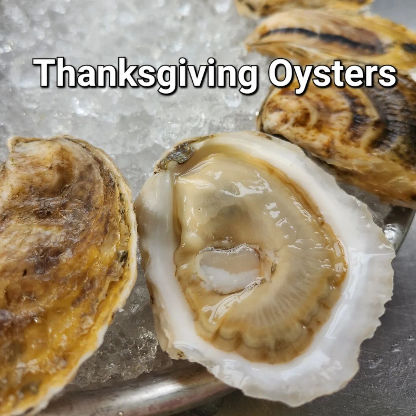 PRE-ORDER YOUR THANKSGIVING OYSTERS TODAY!

OYSTERS BY THE DOZEN
SHUCKED OYSTER MEATS
SAUCES

PICK UP IN DOVER NH OR PORTLAND ME

LINK IN BIO