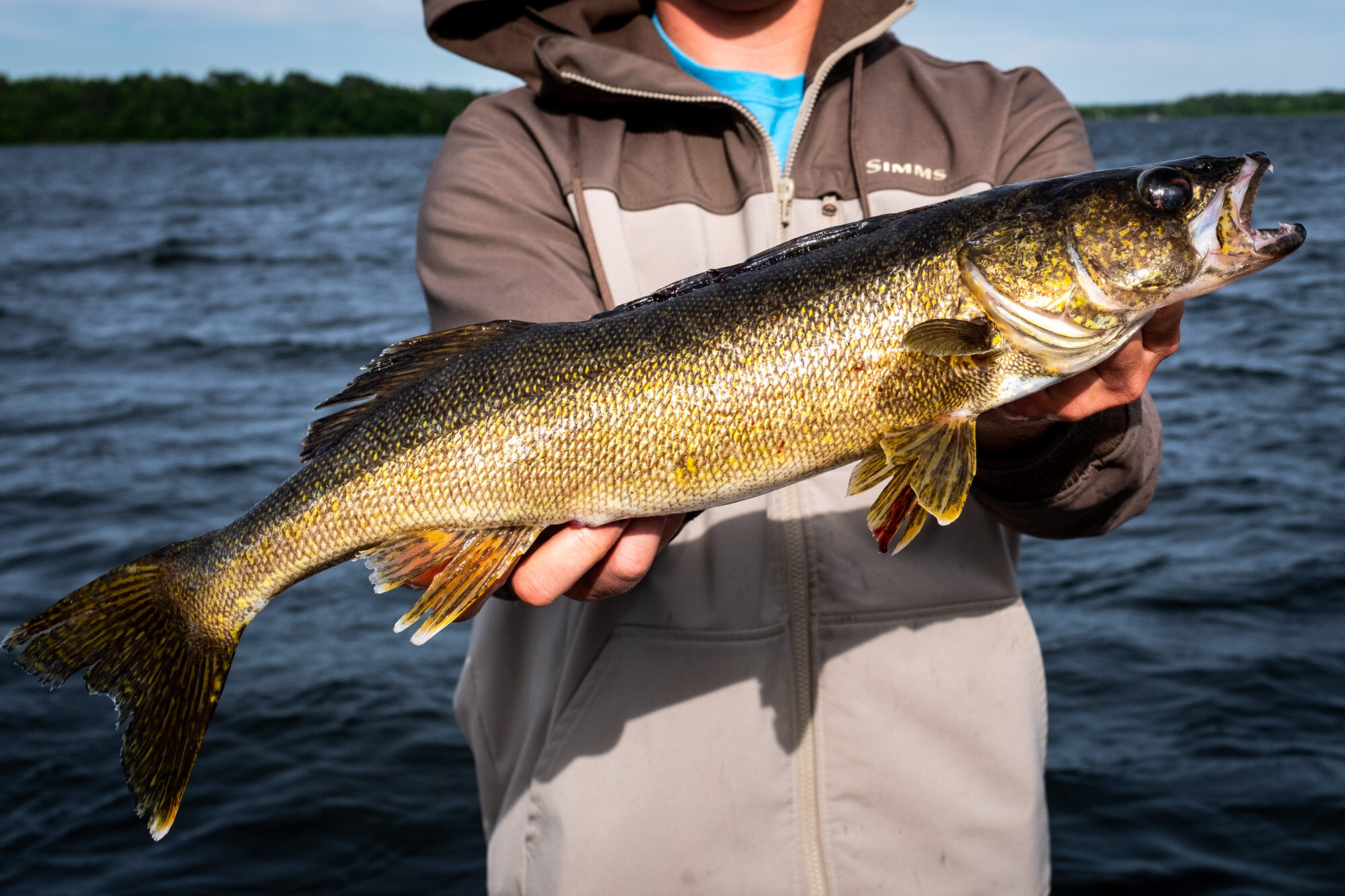 HEIG_bowen_lodge_fishing_cutfoot_sioux_lake_minnesota-2429.jpg