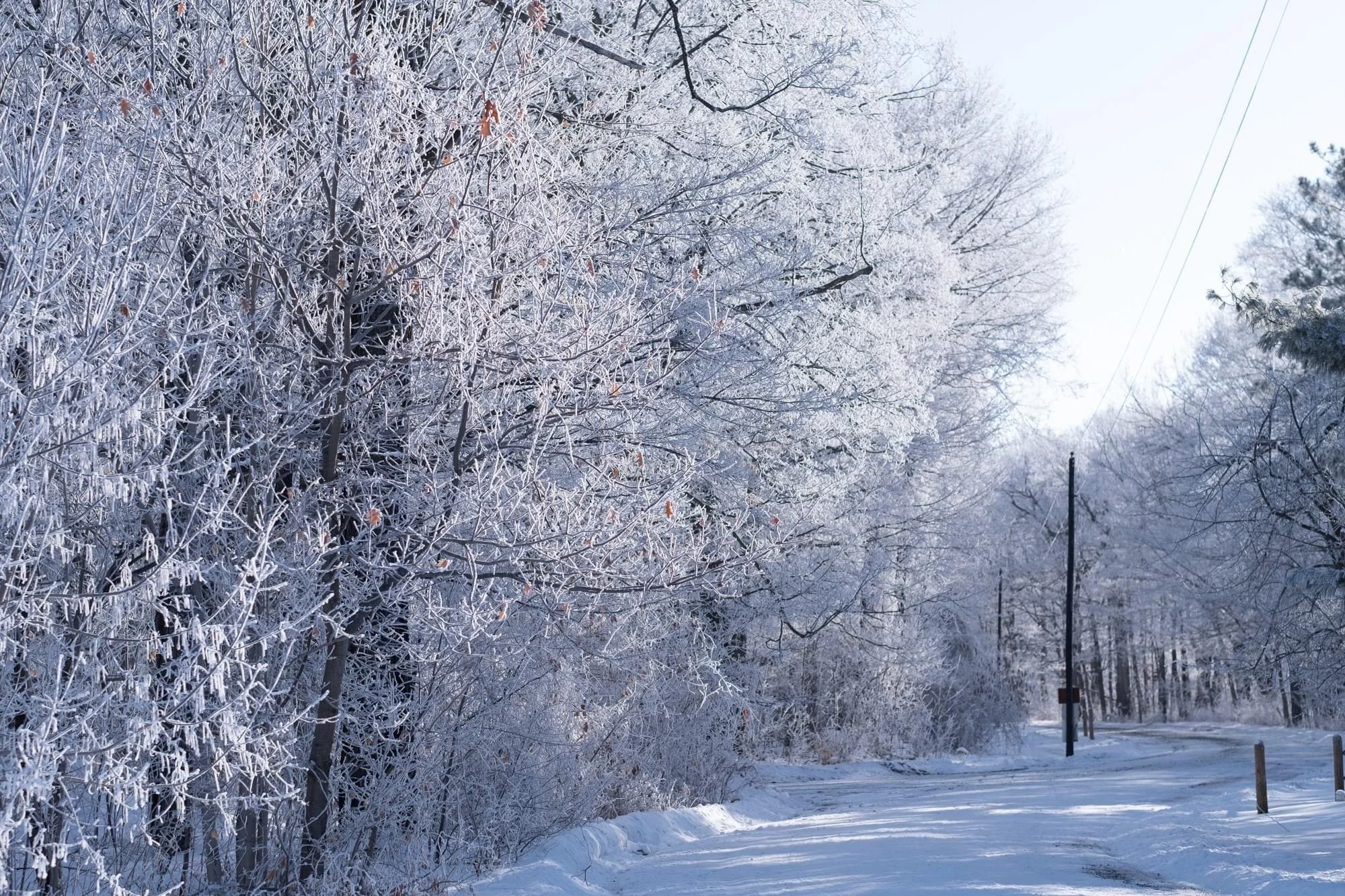 Bowen Lodge Closed During Winter