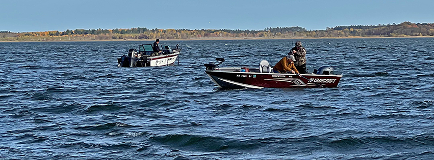 Anglers landing walleye on Winnibigoshish