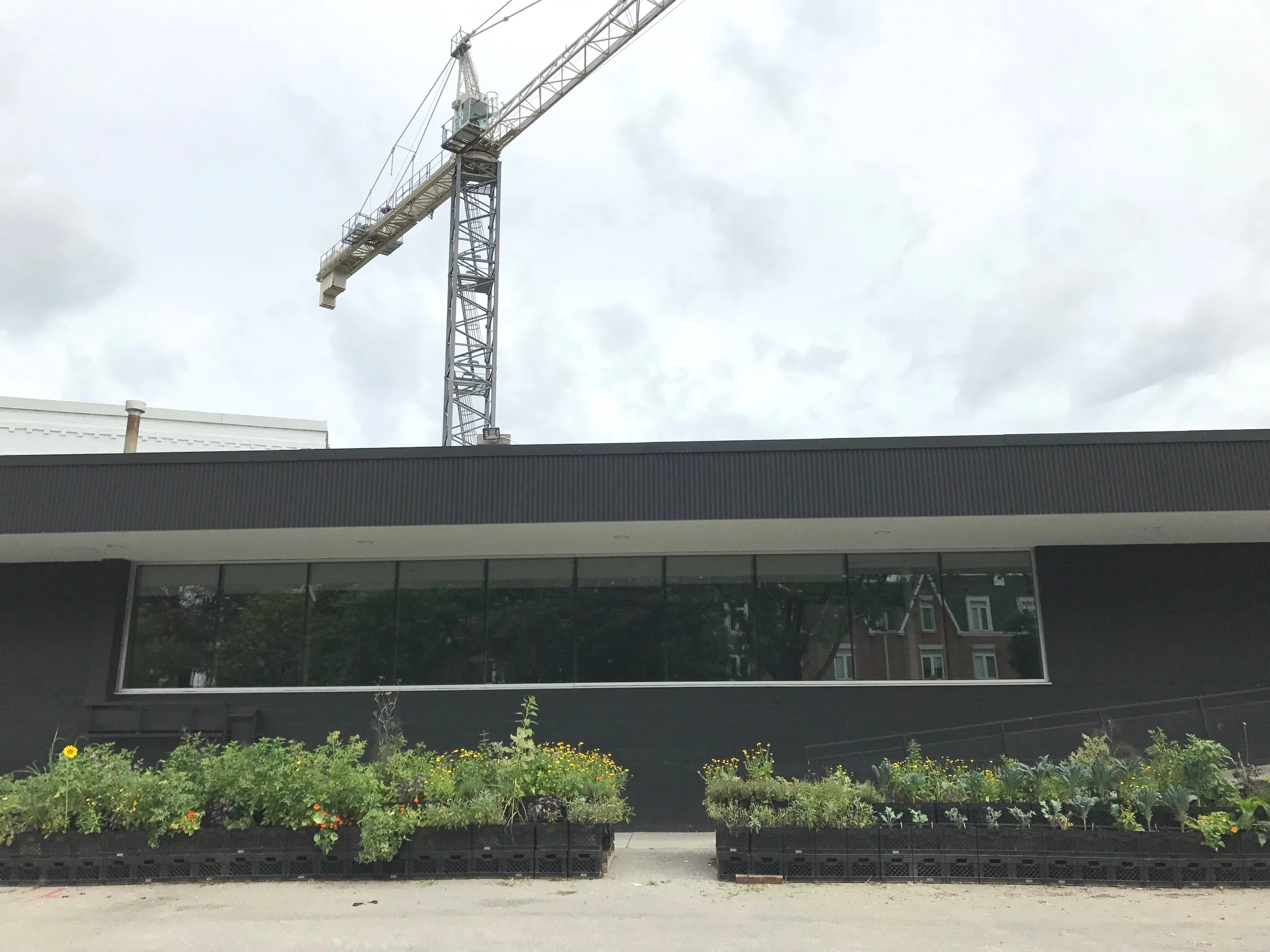 vacant+lots+the+plant.jpg