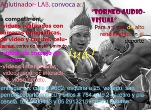 8.webp