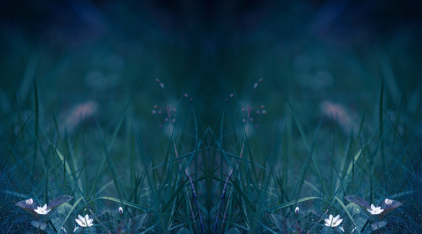 Home images- BG#6.png