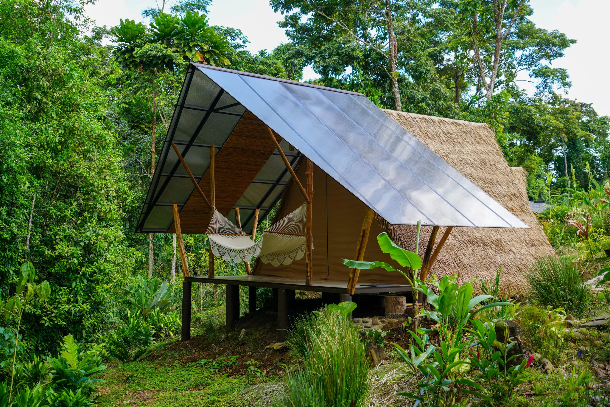 Jungle Huts — Brave Earth