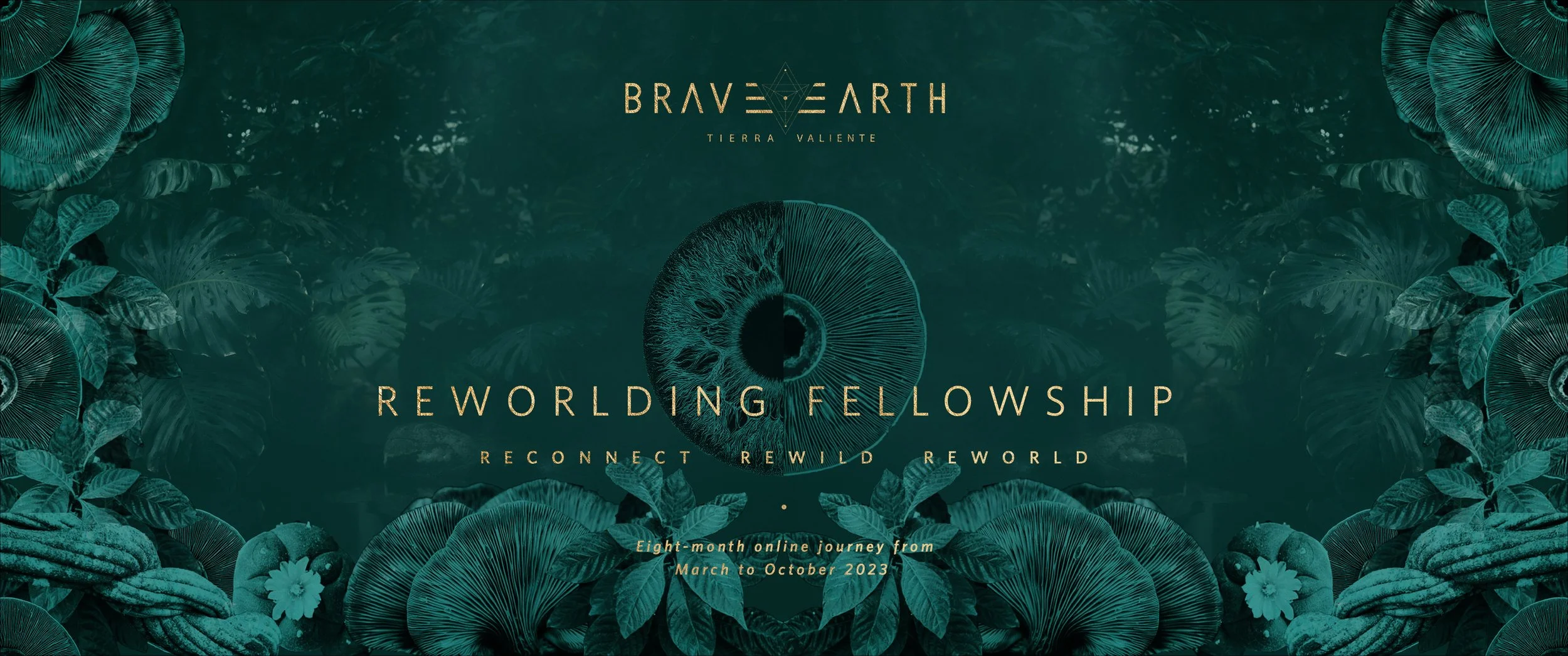 REWORLDING FELLOWSHIP | Reconnect - Rewild - Reworld