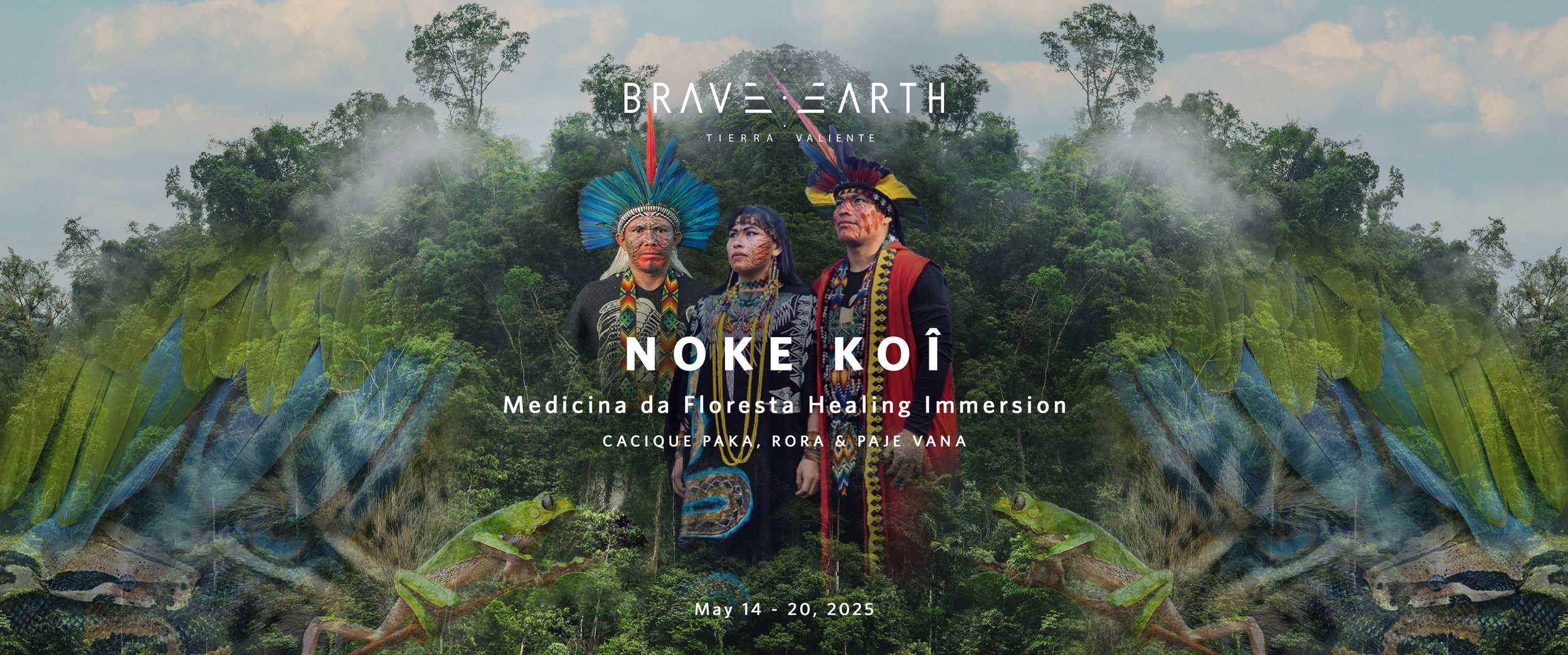 Noke Koî | Medicina da Floresta Immersion