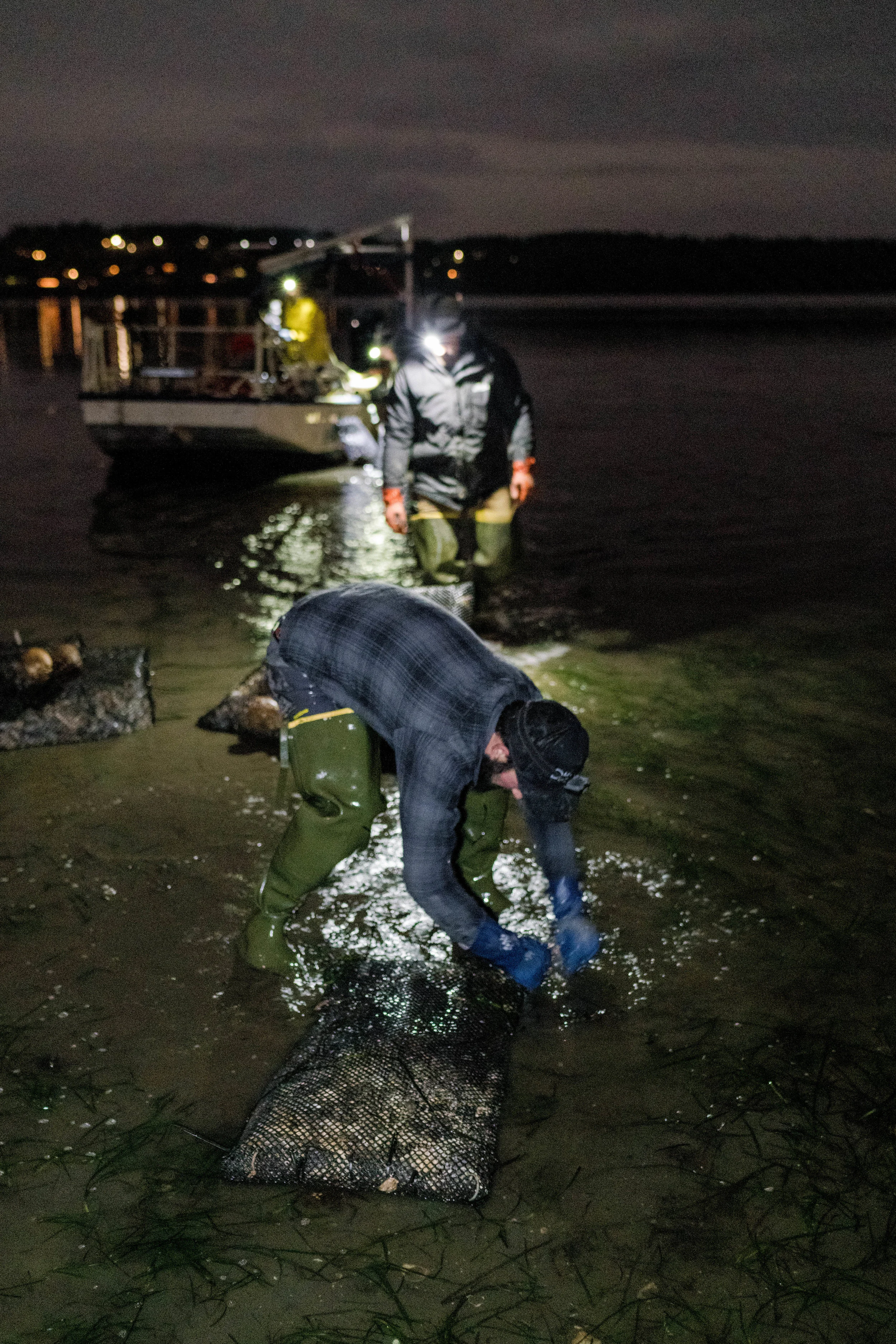 drayton harbor oysters-dylansantosgreen-92.jpg