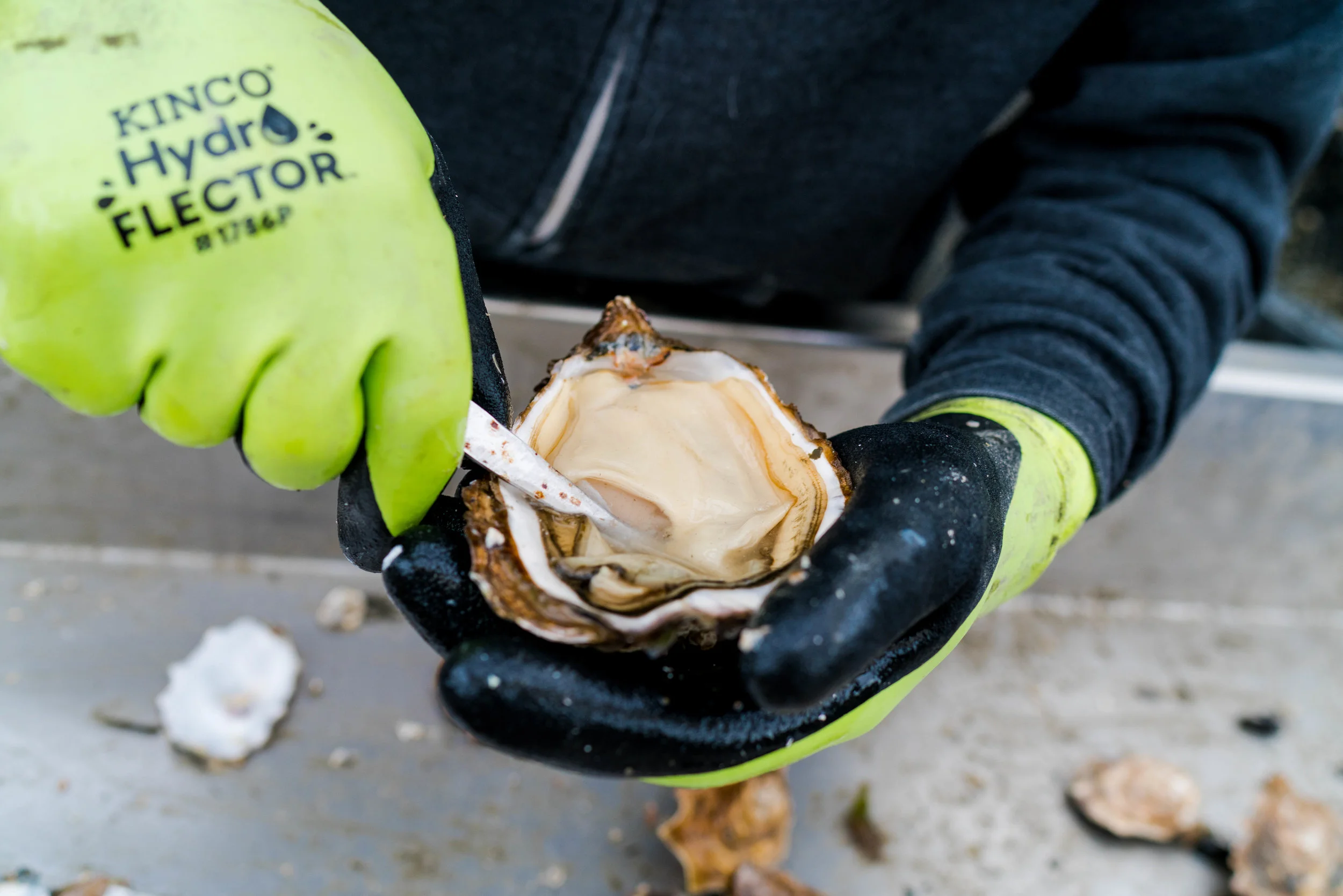 dho boat- 2019 - dylansantosgreen-42.jpg