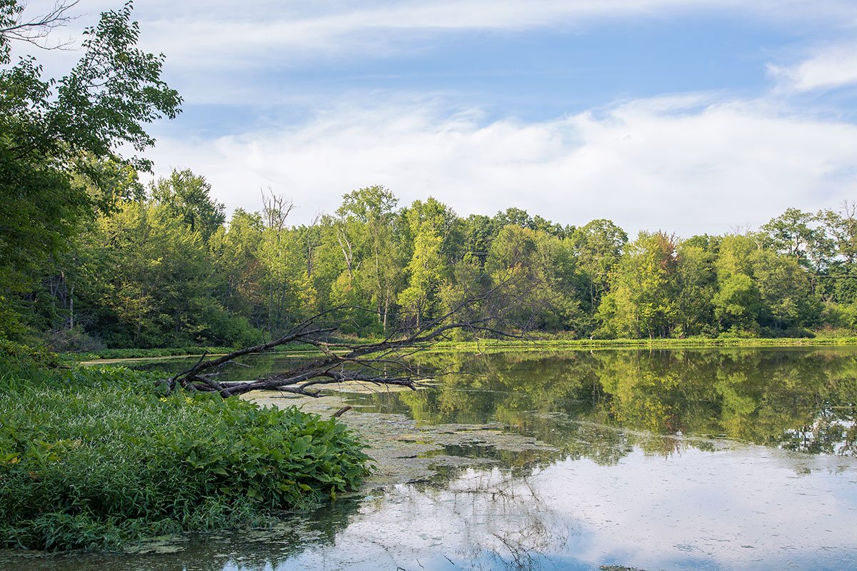 Chain O' Lakes Canoeing Trip — Purdue Outing Club