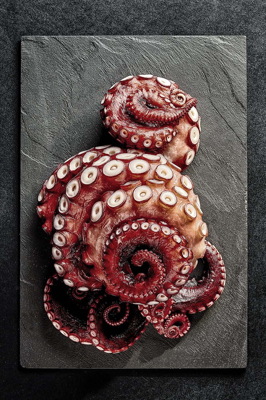 Octopus 2