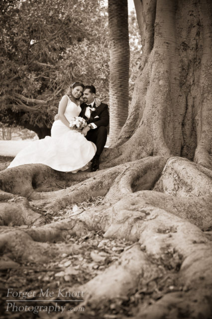 vince_gloria_wedding_5III4393