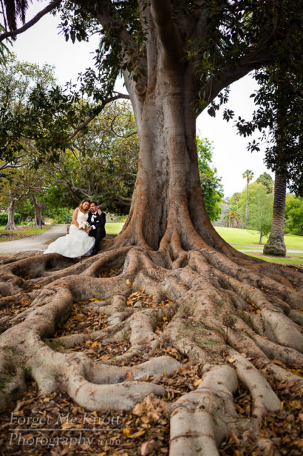 vince_gloria_wedding_5III4387