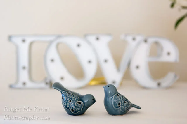 Joe_Vanessa_Wedding-32