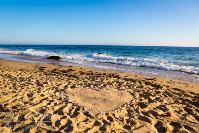 Jason_Heather_proposal-1