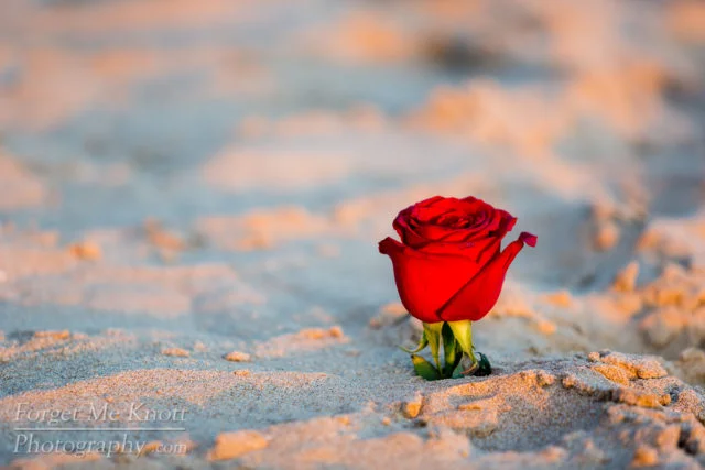 Jason_Heather_proposal-6