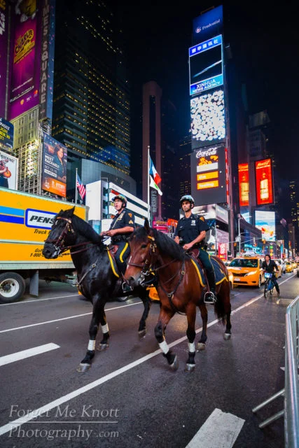 NYPD Mounties, New York city manhatten times square,pd police officer horses mounted lights