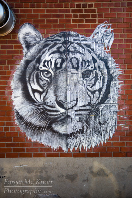 Tiger Art, New York city graffiti wall urban