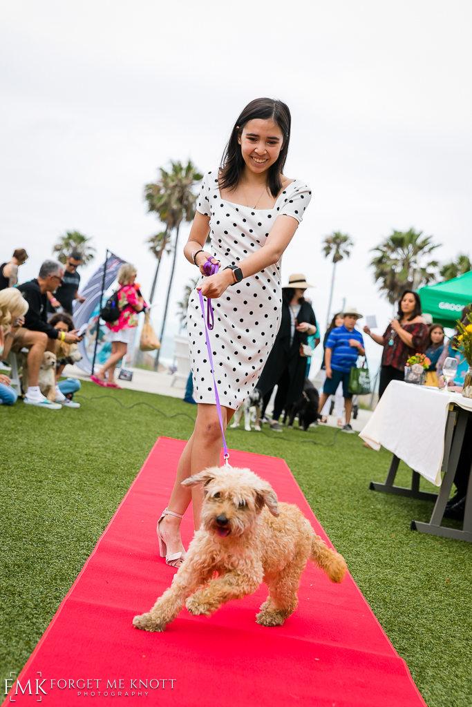 Wags-N-Wine-47.jpg