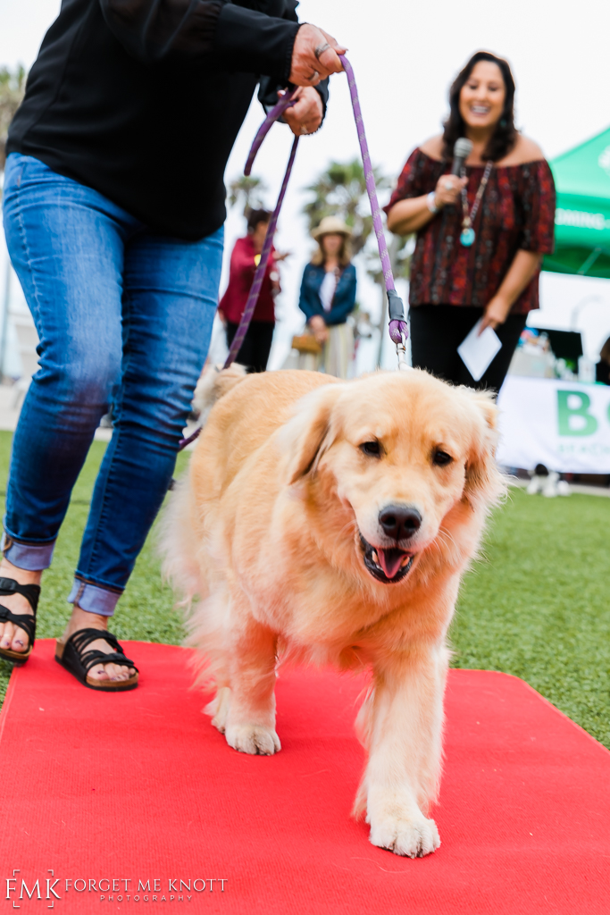 Wags-N-Wine-73.jpg